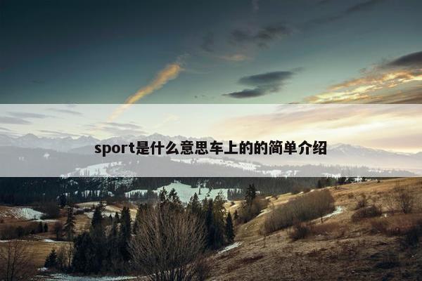 sport是什么意思车上的的简单介绍